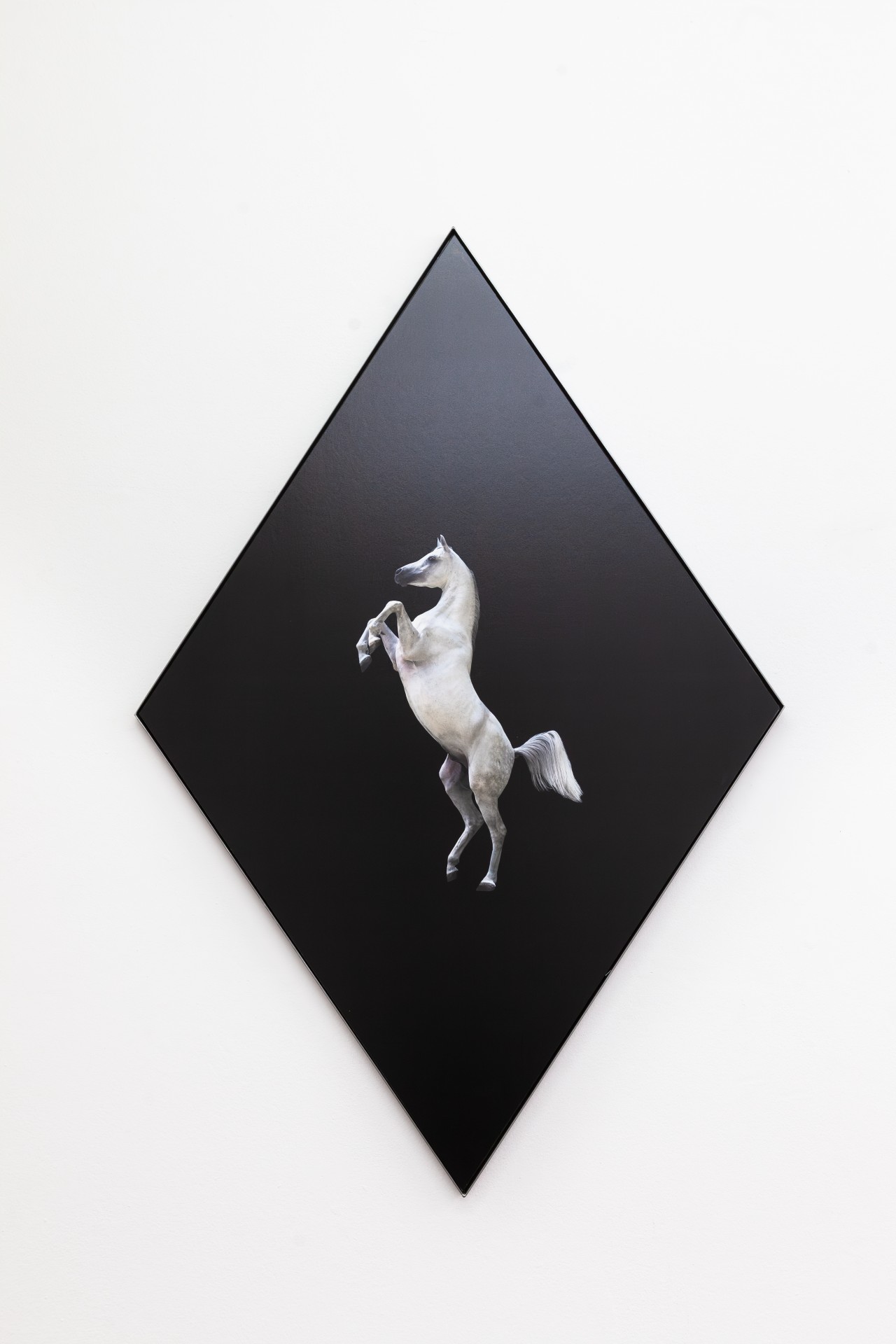 Edges that blur, bodies that fold into something other installation view 11