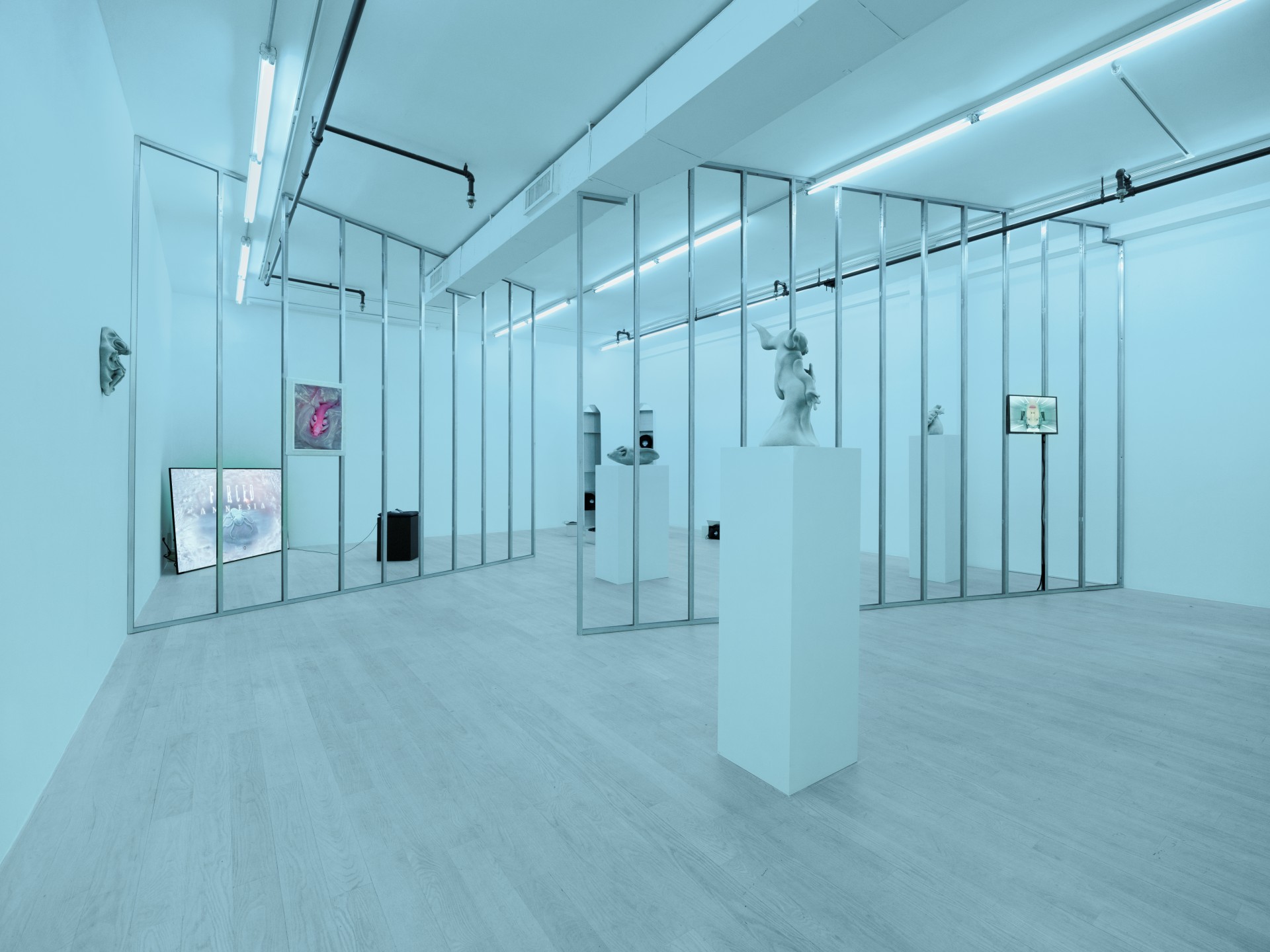 exuviae installation view