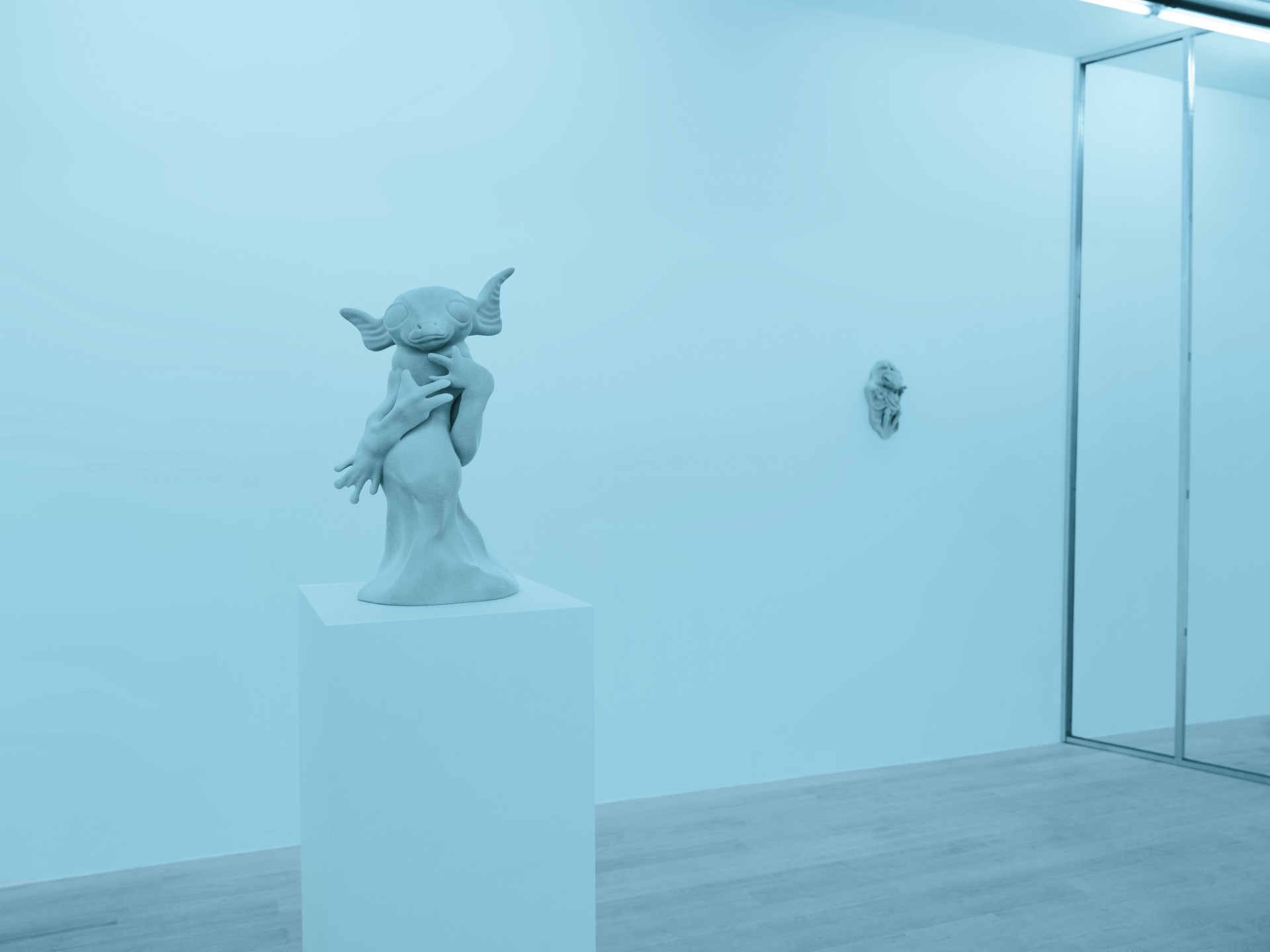 exuviae installation view 5