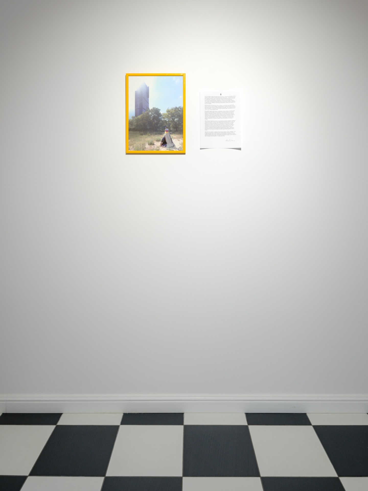 Grass on roadside 4 installation view 2