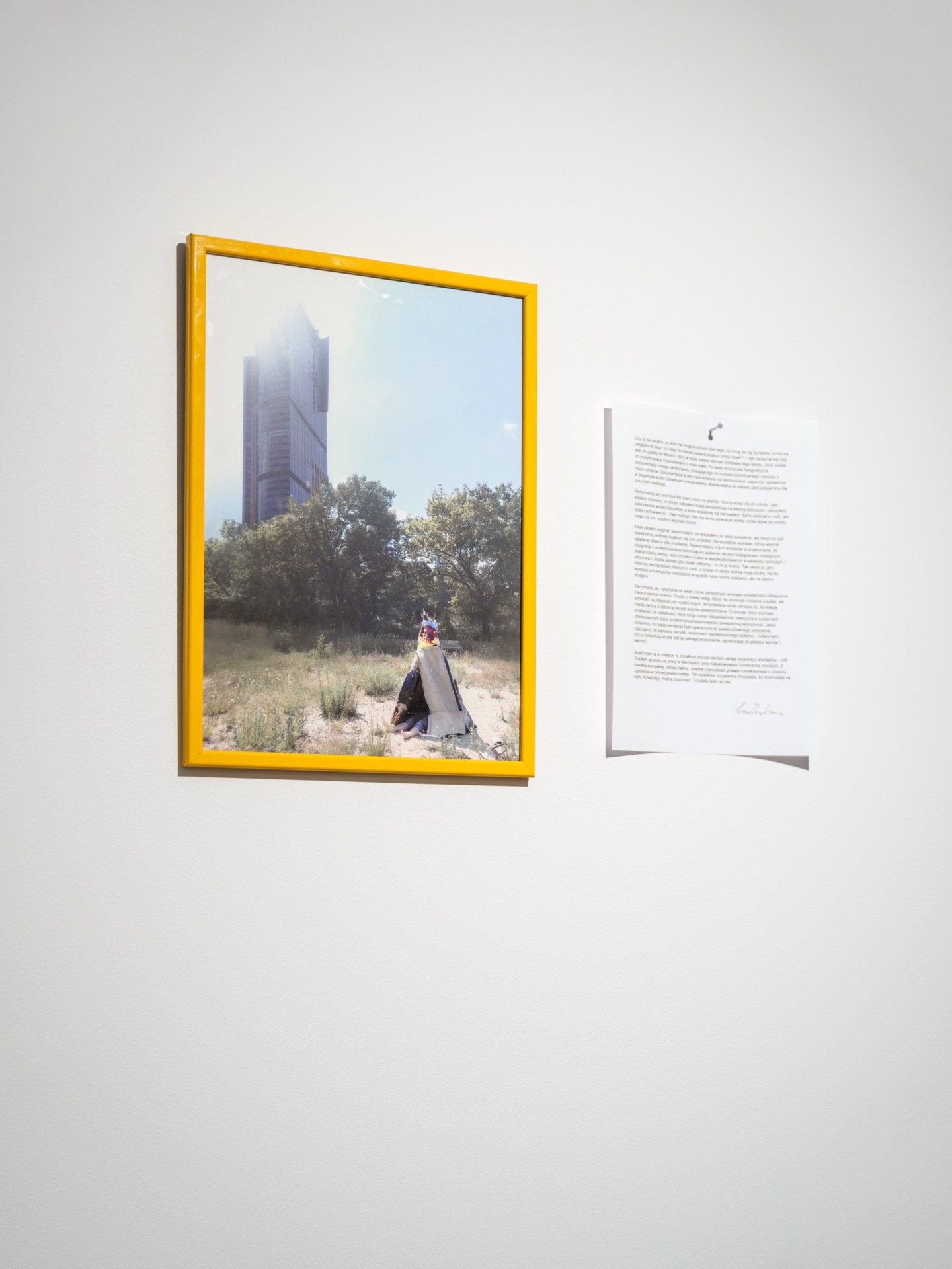Grass on roadside 4 installation view 3
