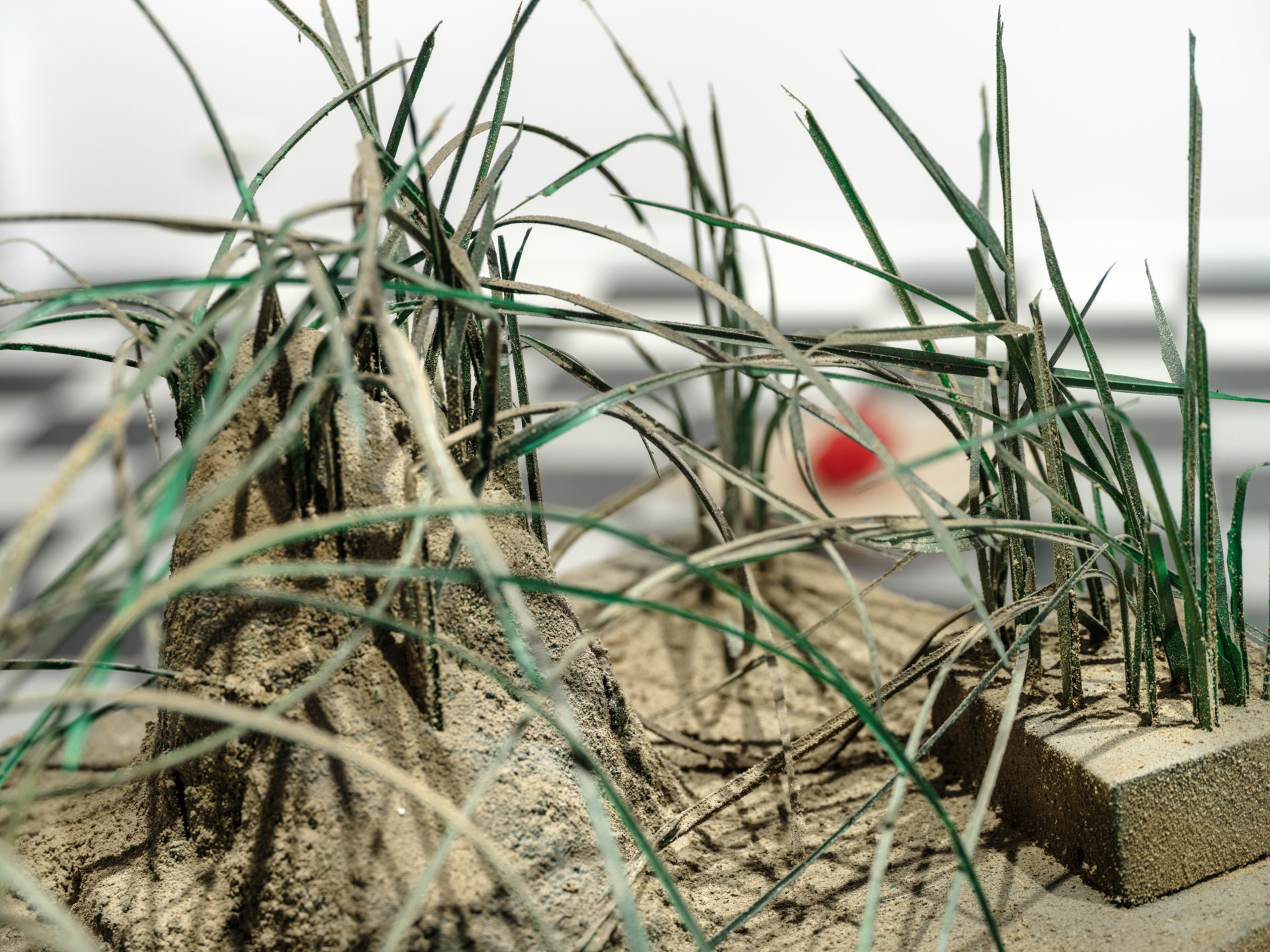 Grass on roadside 4 installation view 14
