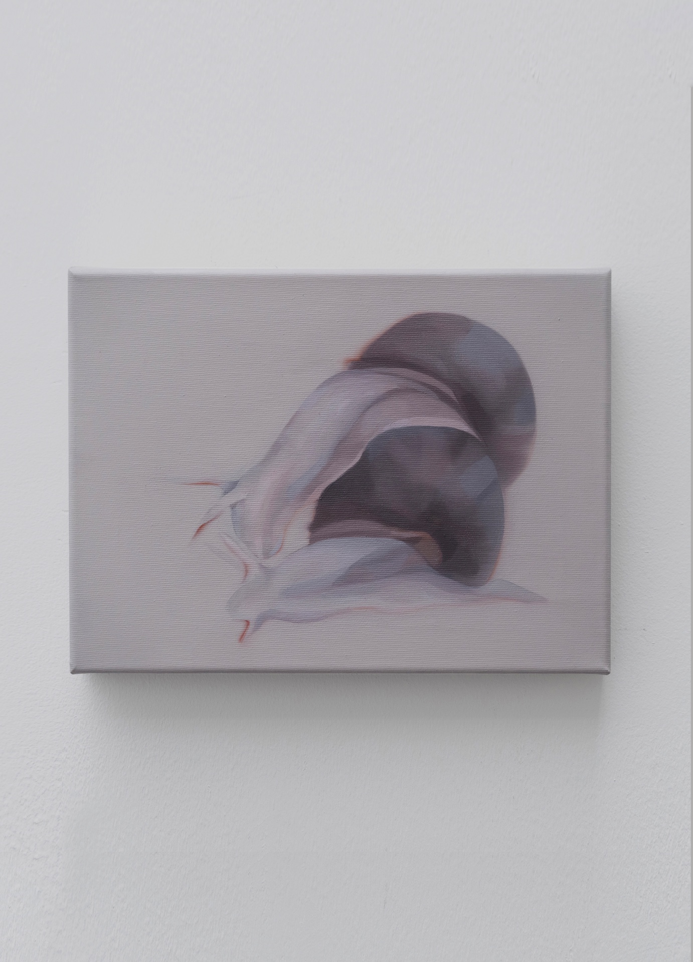 Main de fer, gant de velours installation view 16