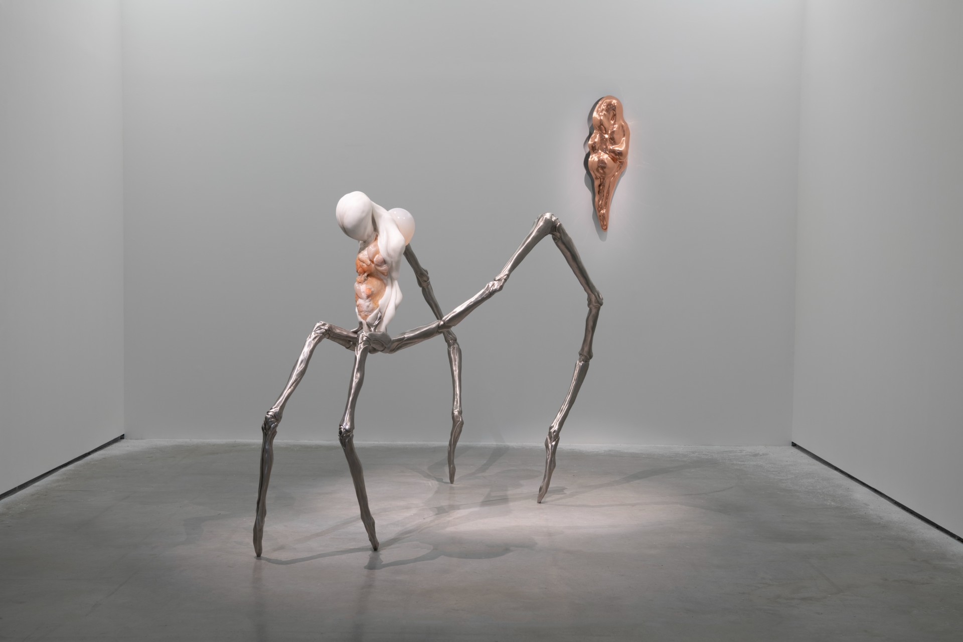 Metempsychosis installation view 4