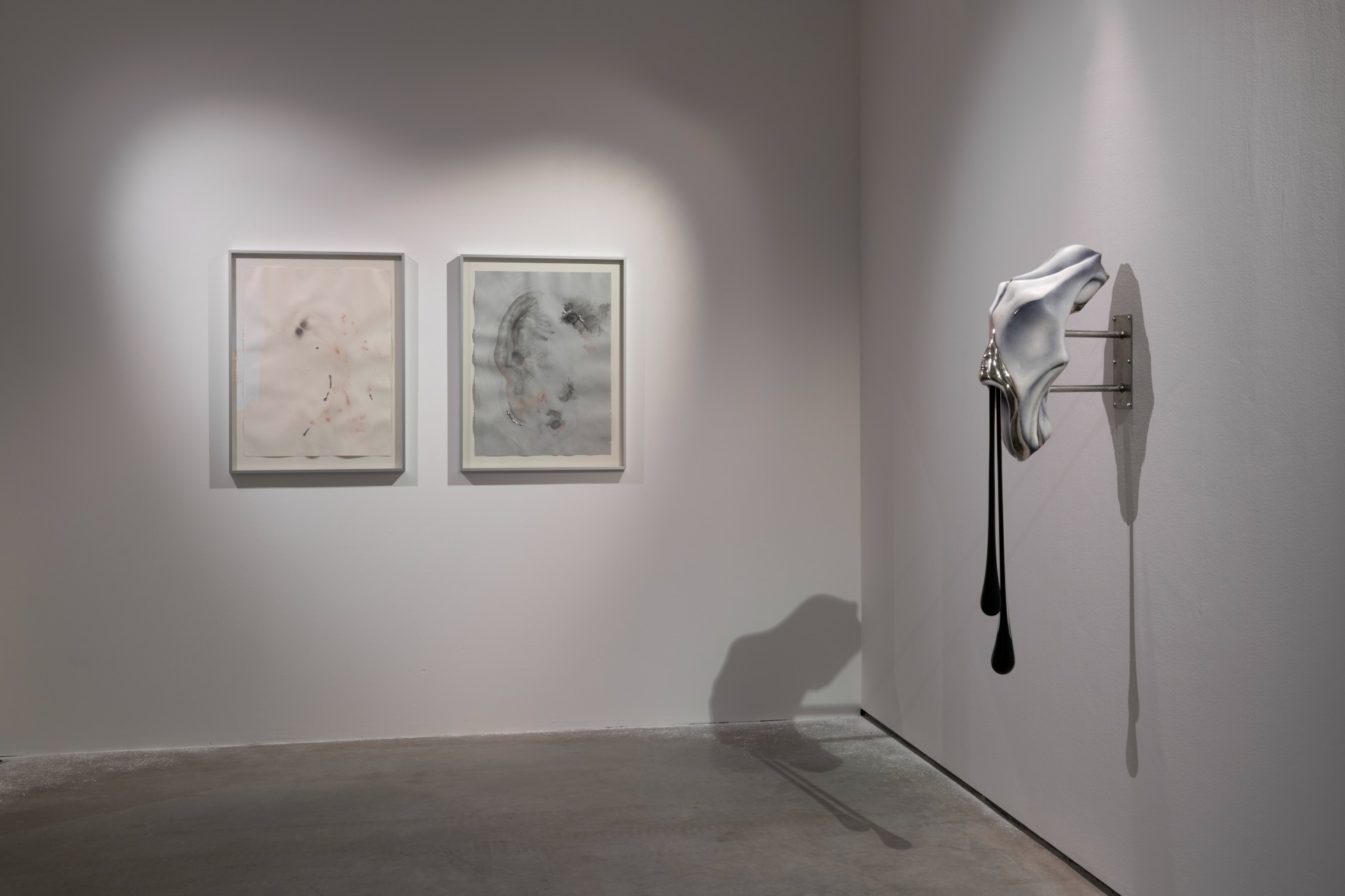 Metempsychosis installation view 9
