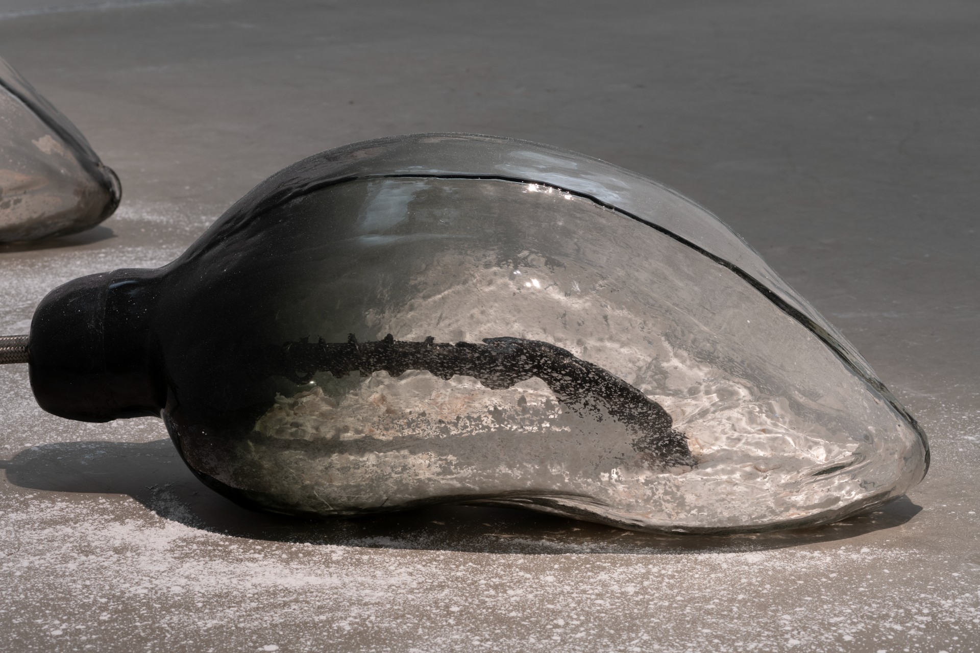 Metempsychosis installation view 18