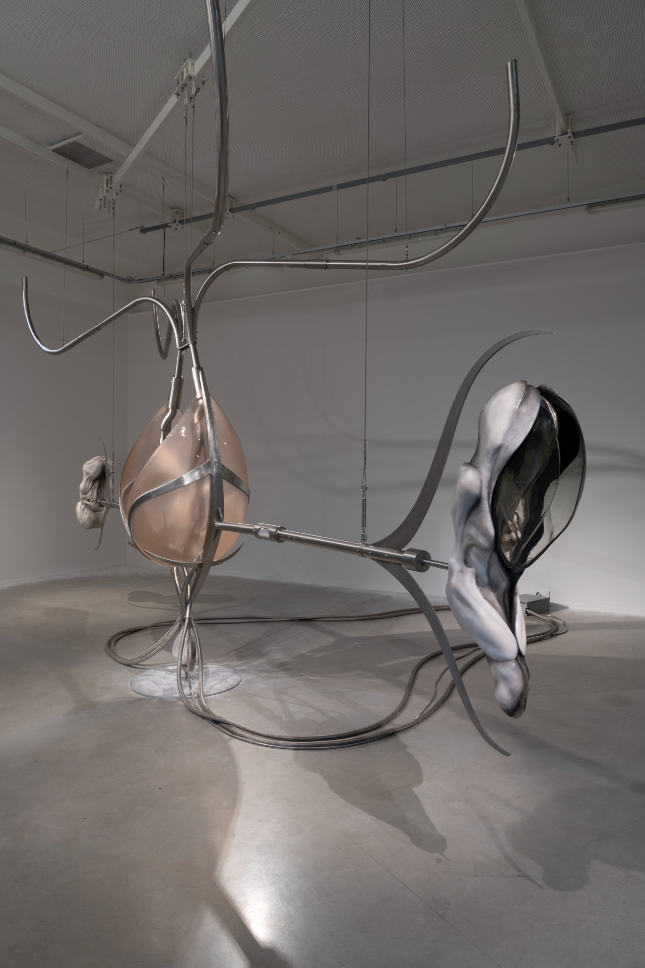 Metempsychosis installation view 24