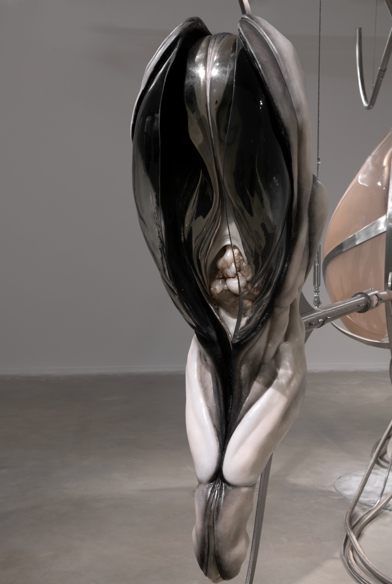 Metempsychosis installation view 29