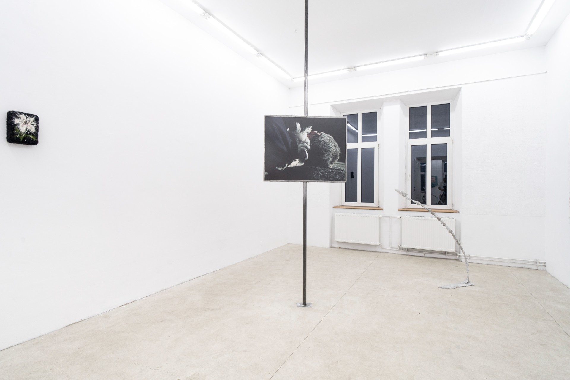 The Shape of a Scar installation view 4
