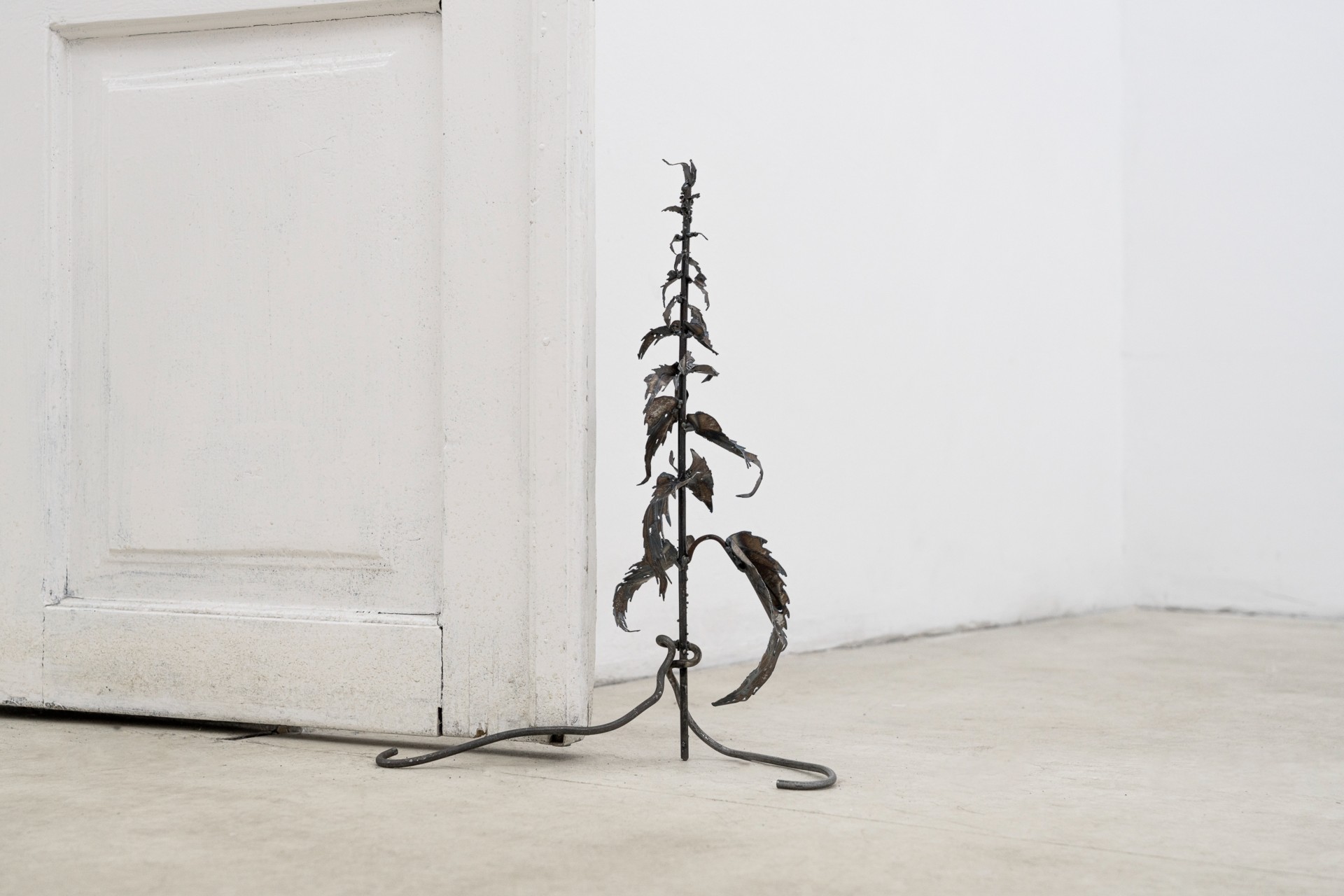 The Shape of a Scar installation view 19